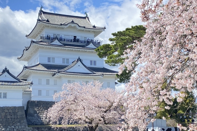 sakura_castle